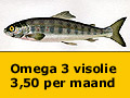Omega 3 vetzuren